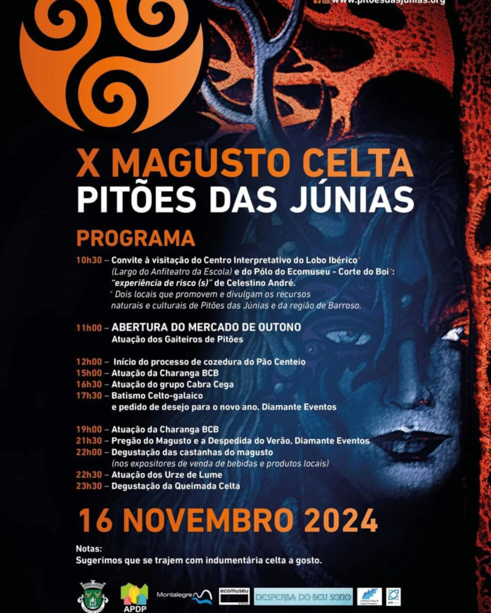 mangusto celta 16 de novembro 2024 pitõesd das junias