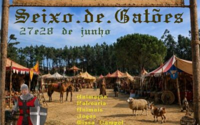 Feira Medieval de Seixo de Gatões